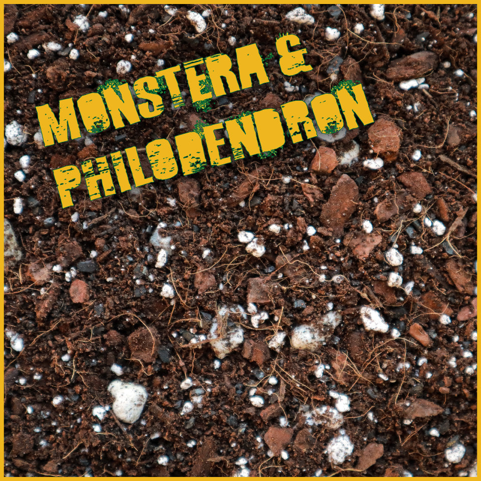 compost for monstera Monstera & Philodendron Mix – The Soil Lab