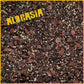 Alocasia Mix