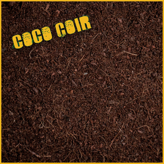 Coco Coir