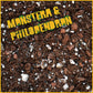 Monstera & Philodendron Mix