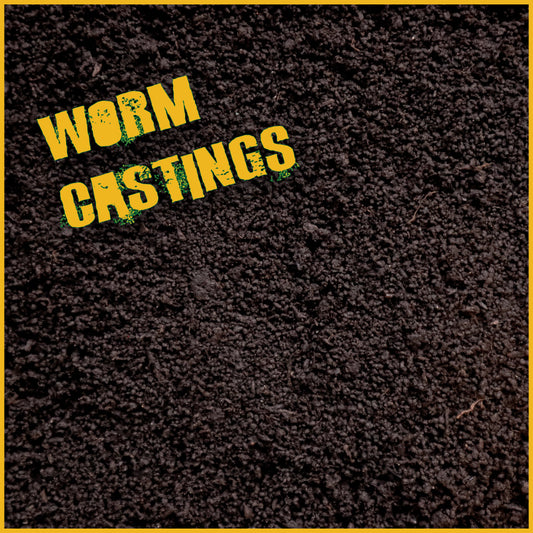 Worm Castings