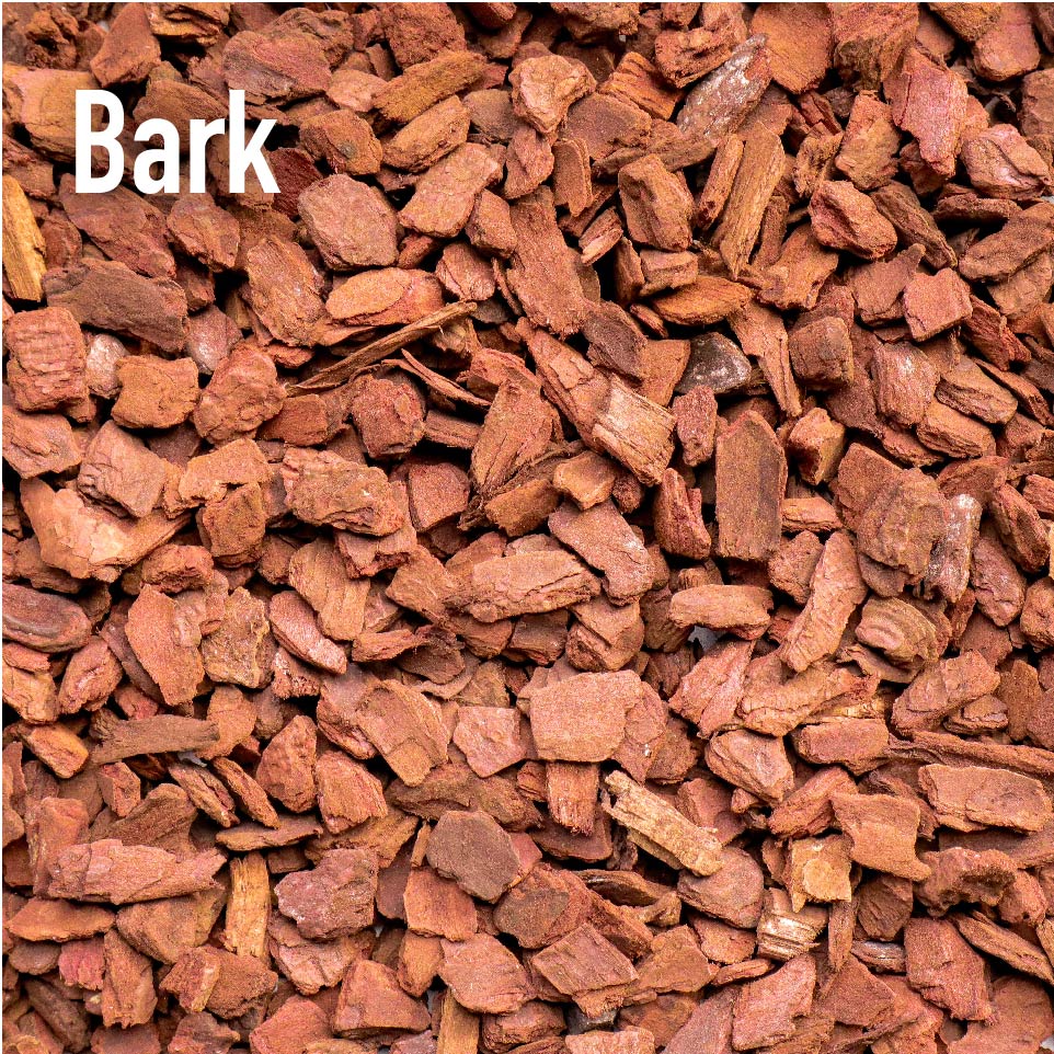 Bark