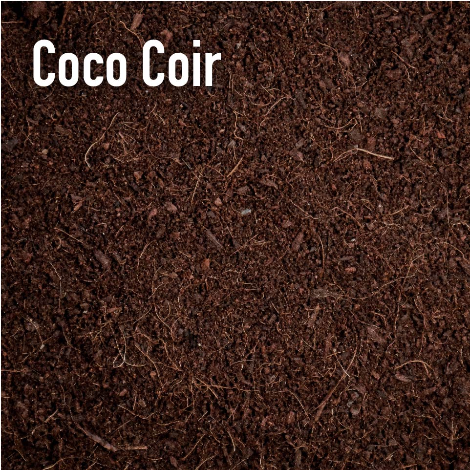 Coco Coir